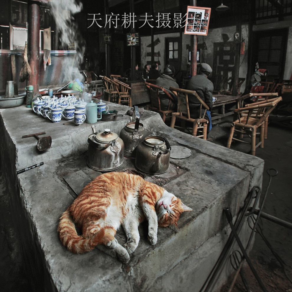23屆國展優秀獎，中國攝影家協會舉辦的首屆國際網絡大賽銅獎《冬日茶館》
