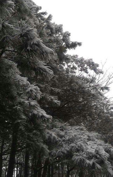 浙江下雪了，2013年冬季浙江湖州安吉第一場雪