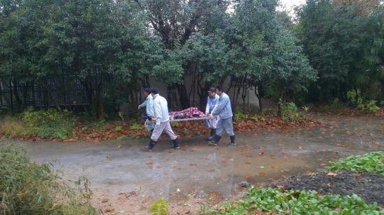 飼養員被華南虎咬死