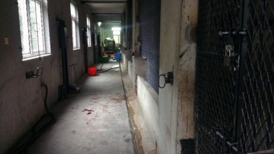飼養員被華南虎咬死