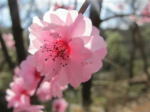 2014昆明春節(jié)天氣