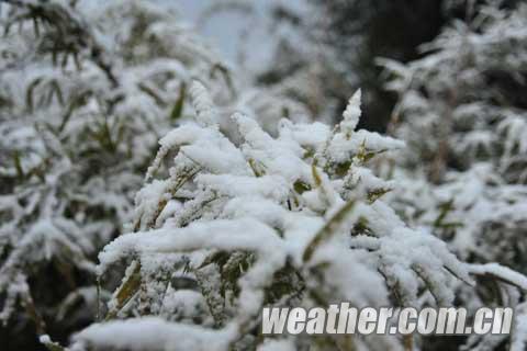 2014年冬天貴州省第一場大范圍降雪1月13日停了