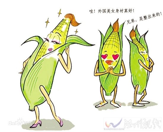 什么叫轉(zhuǎn)基因食品