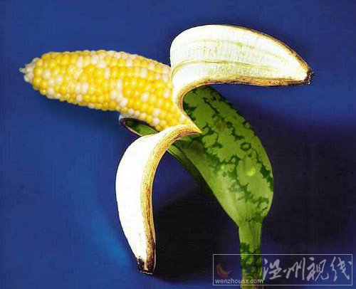 什么叫轉(zhuǎn)基因食品