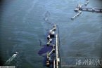 韓國(guó)原油泄漏事故最