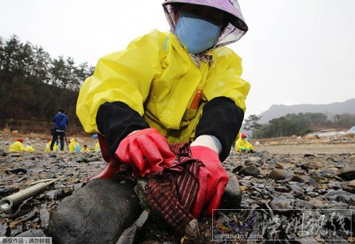 工人在對受污染海岸做清理