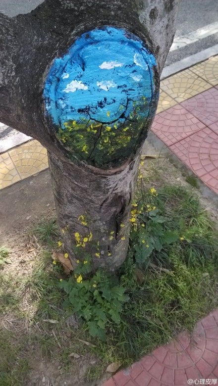 福建農(nóng)林大學(xué)創(chuàng)意樹洞畫 為美麗的校園添色彩