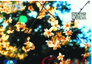 新聞聯(lián)播結(jié)尾賣萌