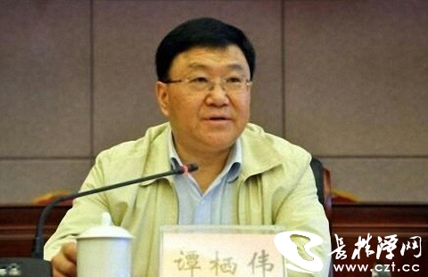 重慶最年輕的廳級干部譚丹的父親譚棲偉