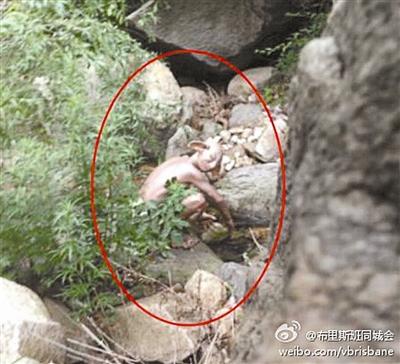 北京懷柔驚現怪獸