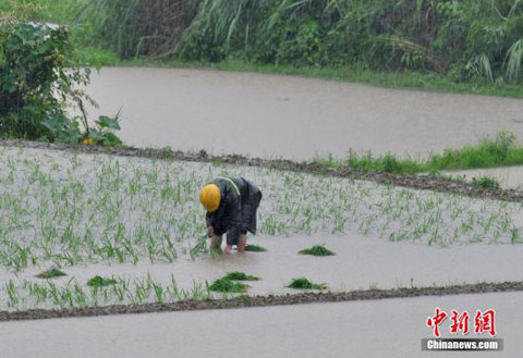 南方暴雨洪澇災(zāi)害