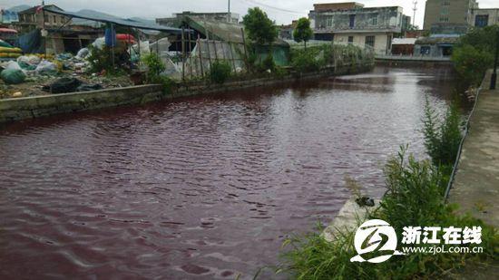 蒼南內(nèi)河河水變紅