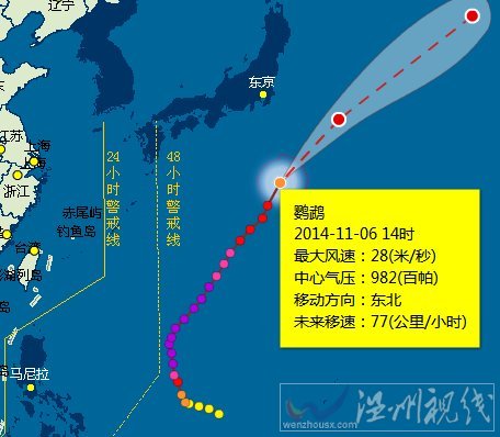 臺風鸚鵡