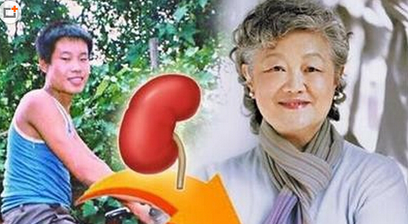 章含之用了聶樹斌的腎