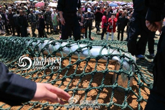 蒼南事故現場