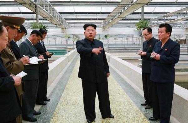 金正恩視察罕見動怒