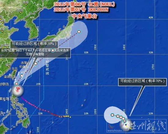 臺風白海豚