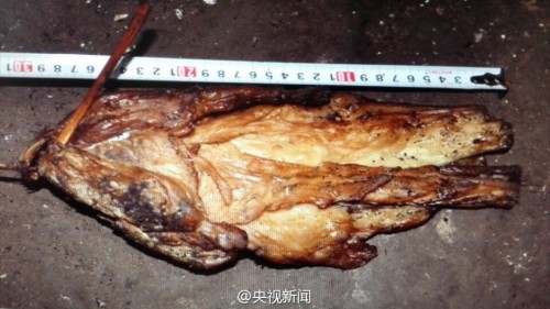 云南獵殺大熊貓案