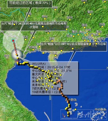 臺風(fēng)鯨魚路徑