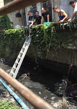 寧波慈溪觀海衛殺人案