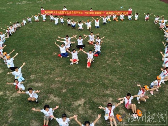 溫州醫(yī)科大學(xué)暑期社會(huì)實(shí)踐
