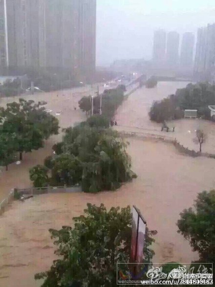 溫州平陽等地受災嚴重