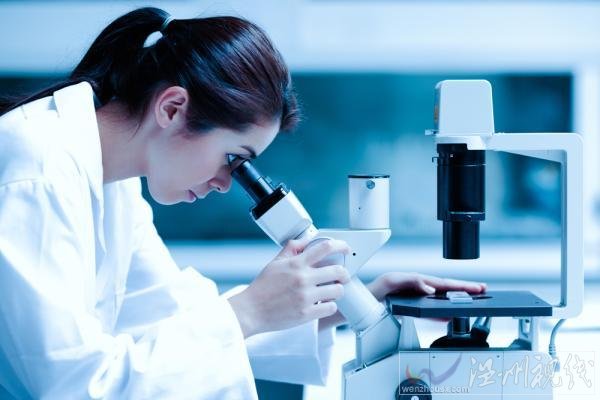 科學技術已經成功將熟雞蛋變生雞蛋
