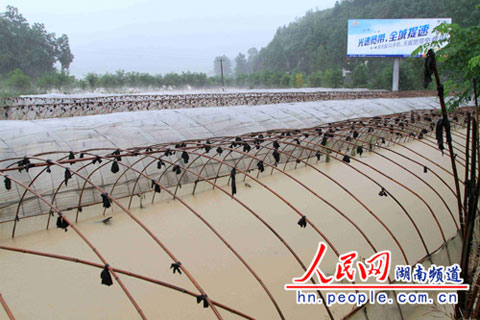 26日強(qiáng)降雨襲擊湘西北 湖南已啟動(dòng)防汛四級(jí)響應(yīng)