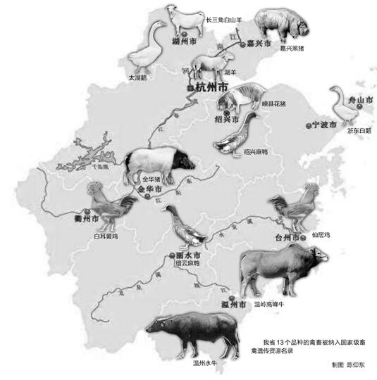 平陽縣騰蛟鎮(zhèn)李挺志水牛養(yǎng)殖場(chǎng) 溫州水牛飼養(yǎng)獲補(bǔ)助