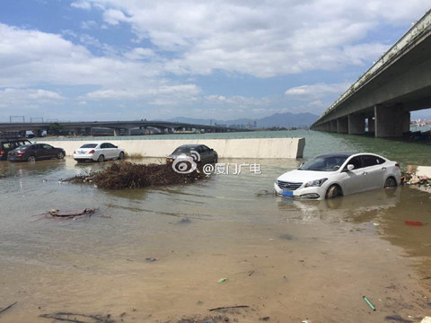 杜鵑登陸臺灣