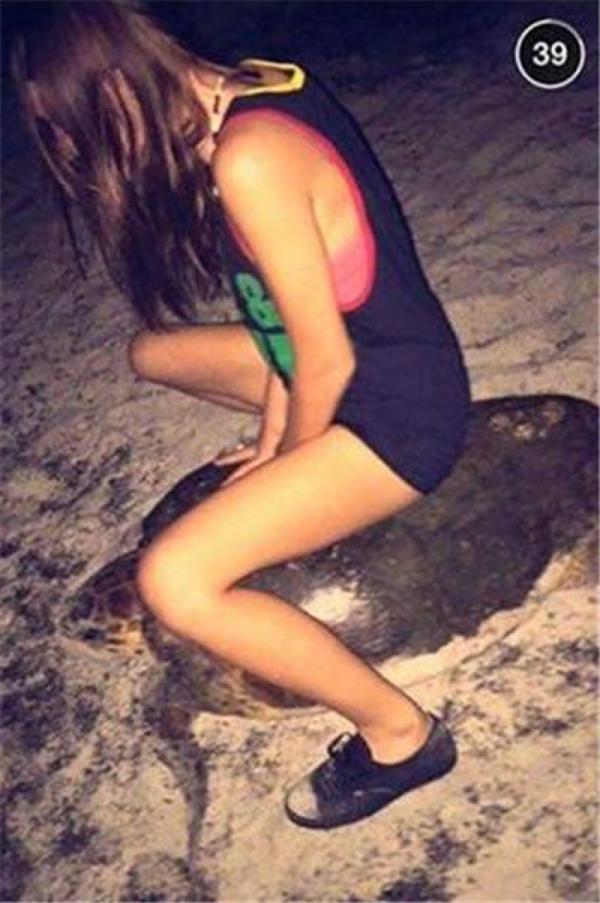 女子騎海龜被控5年監禁