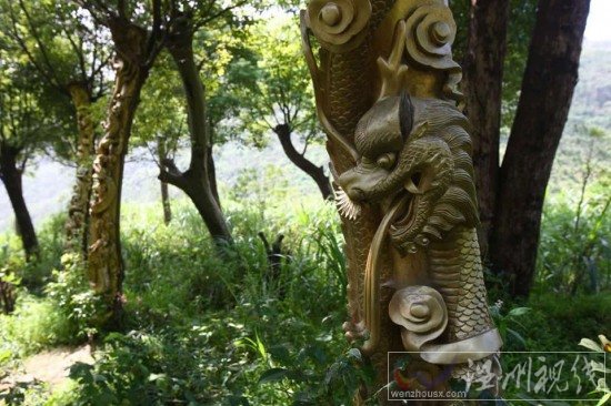 寧波現(xiàn)活體樹雕