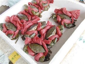 青蟹綁31米繩