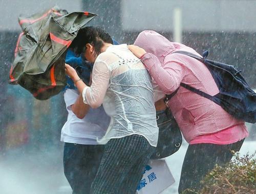 臺風杜鵑傷亡