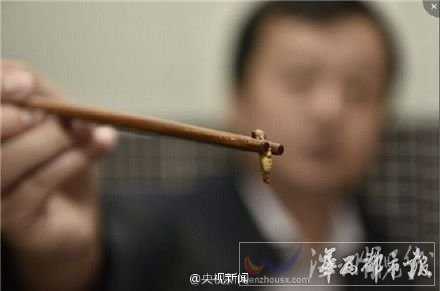 毛血旺中吃出一個蟲蛹