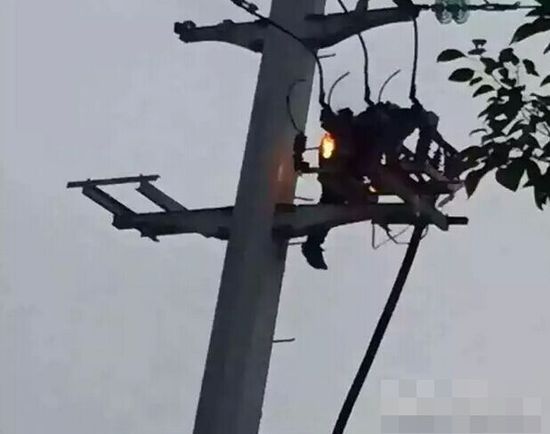 女友吵架男子爬上高壓電線桿觸電
