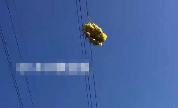 男子玩滑翔傘遇險