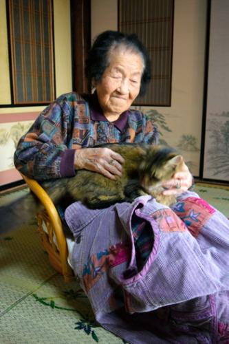 日本貓咪當(dāng)信使