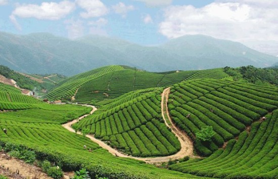 余杭徑山鎮(zhèn)