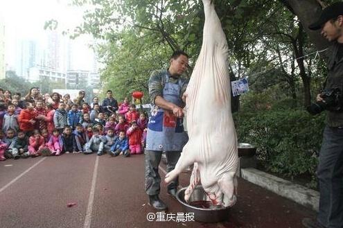 小學組織現場殺豬