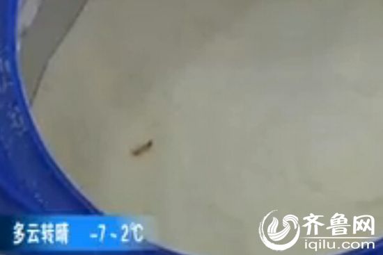 奶粉里吃出活蟲