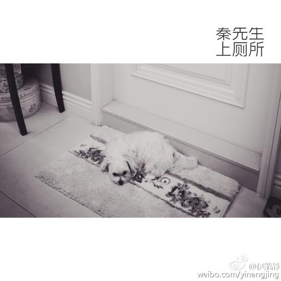 伊能靜嫉妒愛(ài)犬