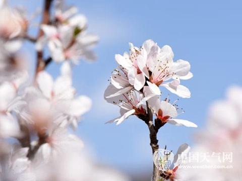 較強冷空氣將襲中東部局地降溫12℃ 5省有暴雨