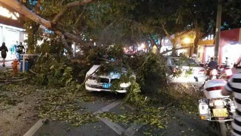 廣西強對流天氣 13年來最大范圍冰雹災害