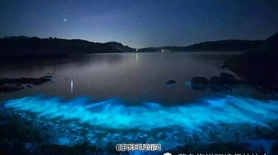 深圳現(xiàn)熒光海