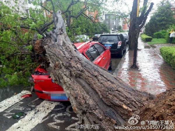 遼寧現(xiàn)強風(fēng)雨雨量破紀(jì)錄風(fēng)力堪比臺風(fēng) 明起轉(zhuǎn)晴