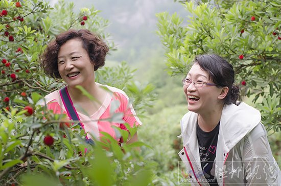 舒軒楊梅采摘活動