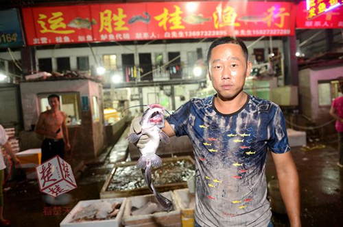 武漢現(xiàn)雙嘴怪魚