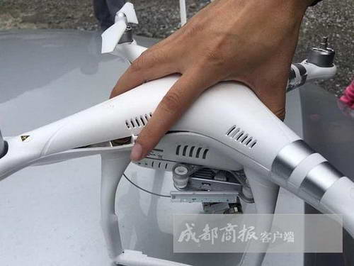 老鷹大戰(zhàn)無人機