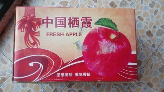 蘋(píng)果紙箱灌水泥